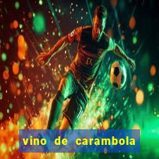 vino de carambola stardew valley